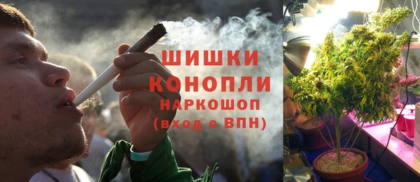 ALPHA-PVP Няндома