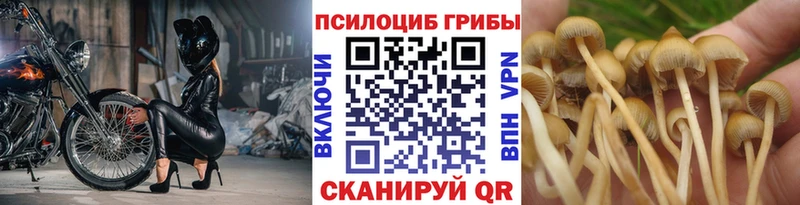Псилоцибиновые грибы мухоморы  MEGA ТОР  Бутурлиновка 